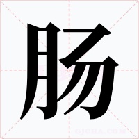 肠字字形