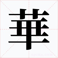 華字的字形和写法