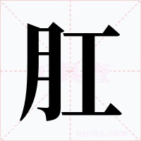 肛字字形
