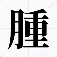 腫字字形