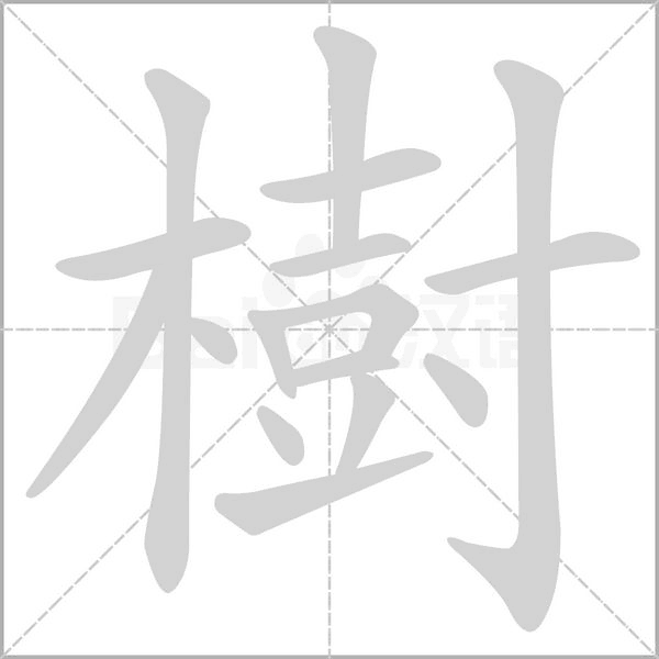 樹字笔顺图