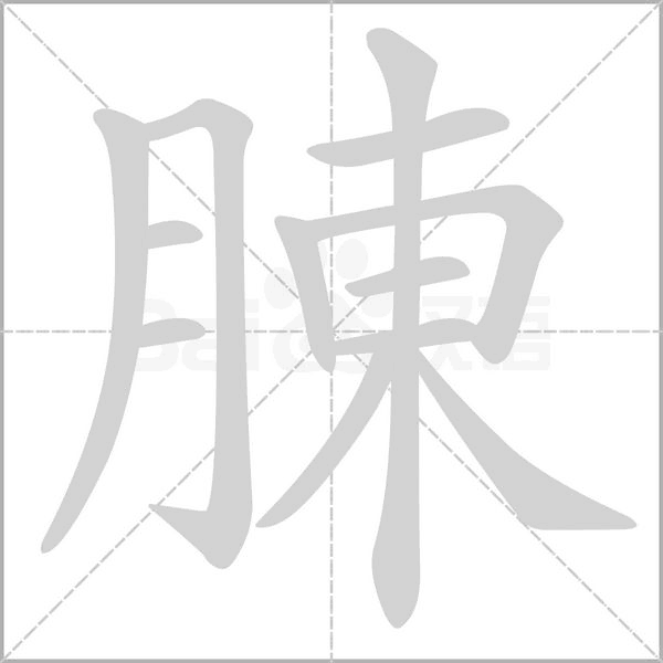 腖字笔顺图