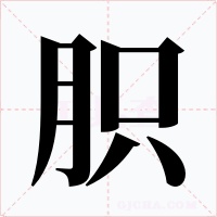 胑字字形