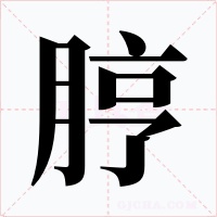 脝字的字形和写法