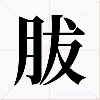 胈字的字形和写法