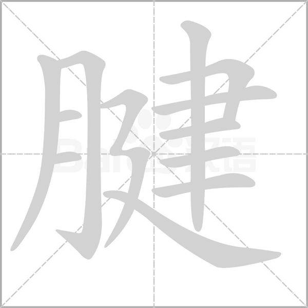 腱字笔顺图