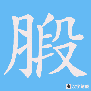 腶字笔顺图