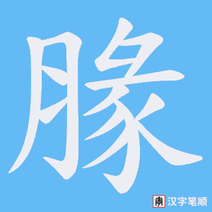腞字笔顺图