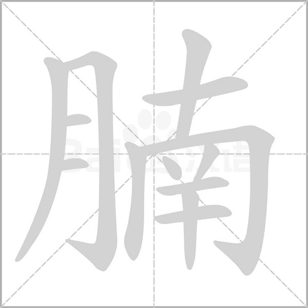 腩字笔顺图