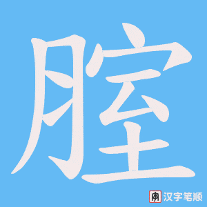 腟字笔顺图