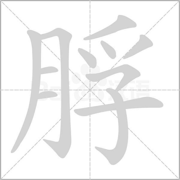 脬字笔顺图