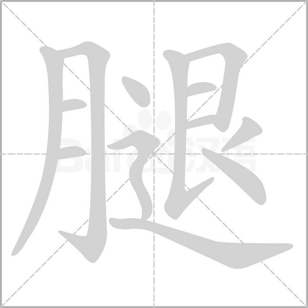 腿字笔顺图