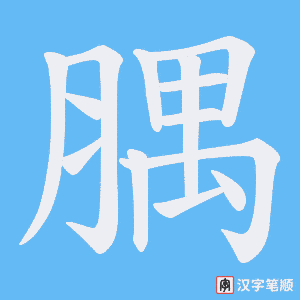 腢字笔顺图