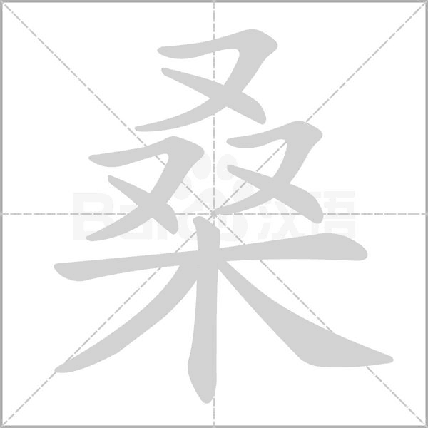 桑字笔顺图