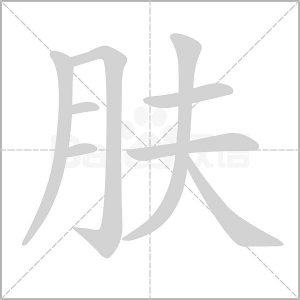 肤字笔顺图