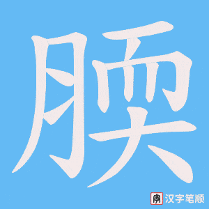 腝字笔顺图