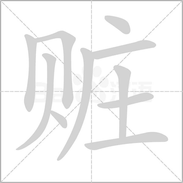 赃字笔顺图