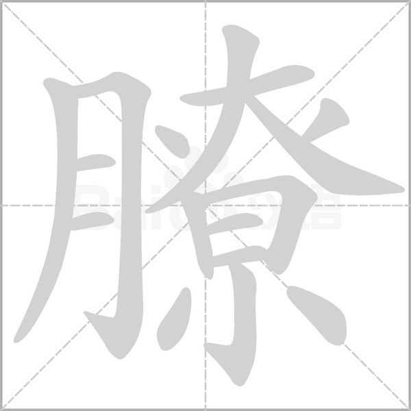 膫字笔顺图