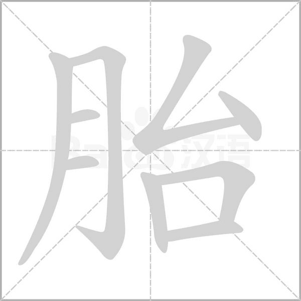 胎字笔顺图