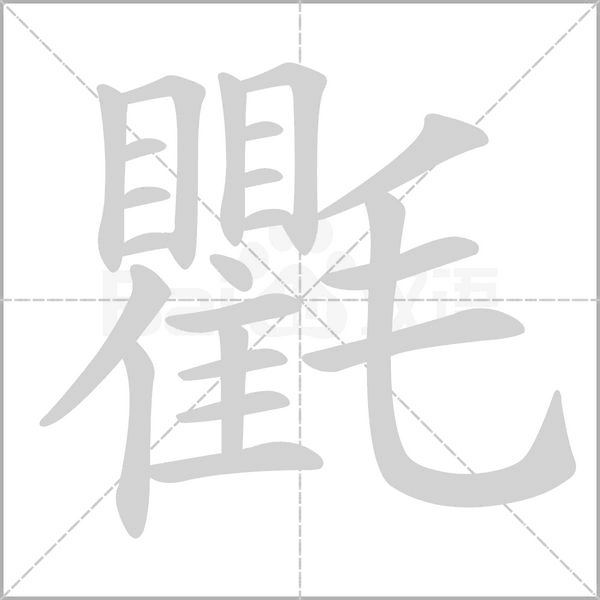 氍字笔顺图