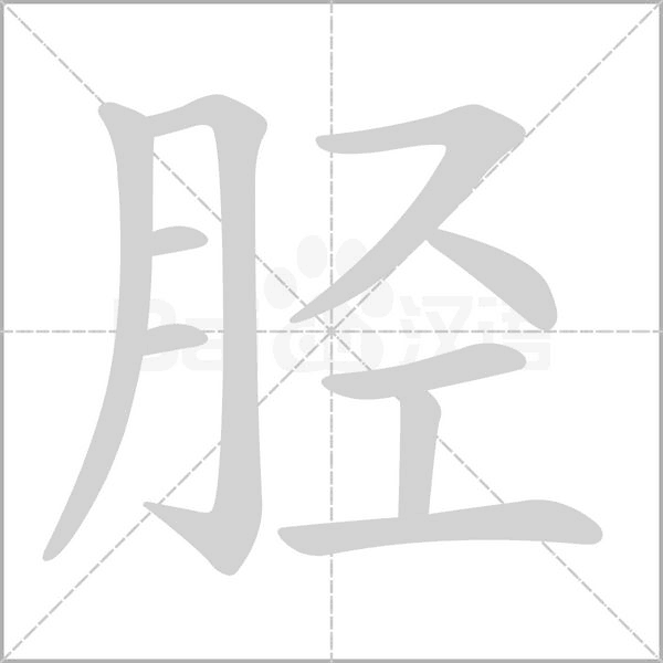 胫字笔顺图