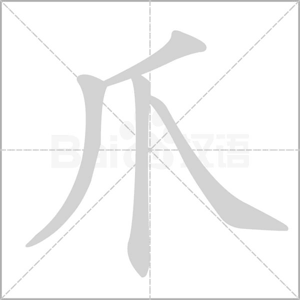 爪字笔顺图