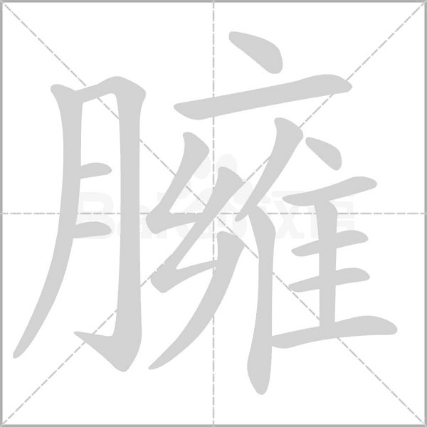臃字笔顺图