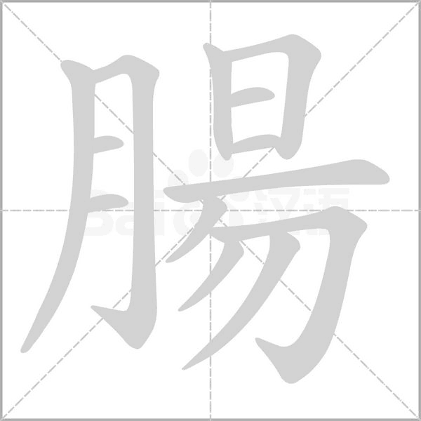 腸字笔顺图