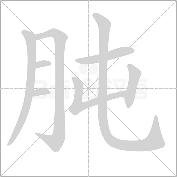 肫字笔顺图