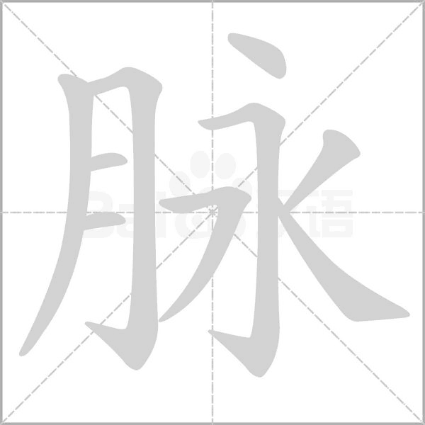 脉字笔顺图