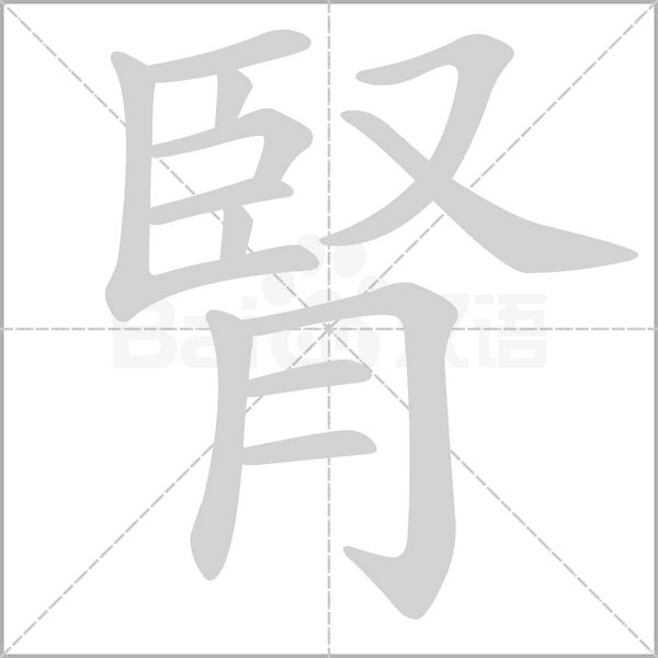 腎字笔顺图