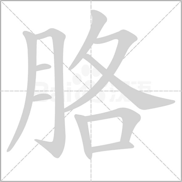 胳字笔顺图