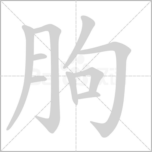 朐字笔顺图