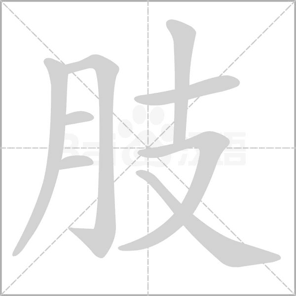 肢字笔顺图