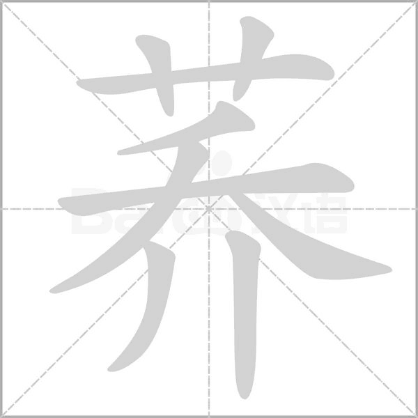 荞字笔顺图