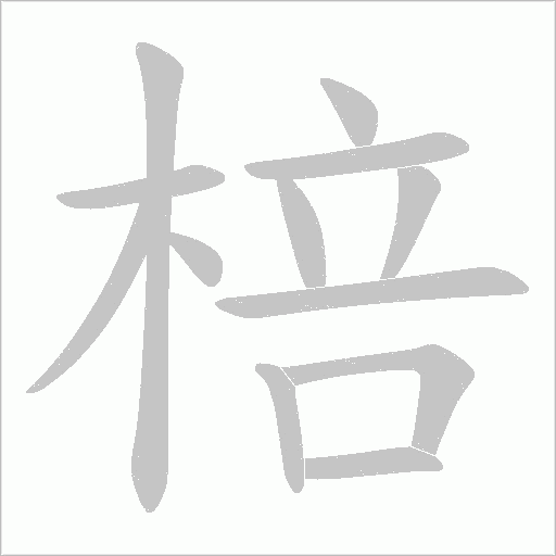 棓字笔顺图