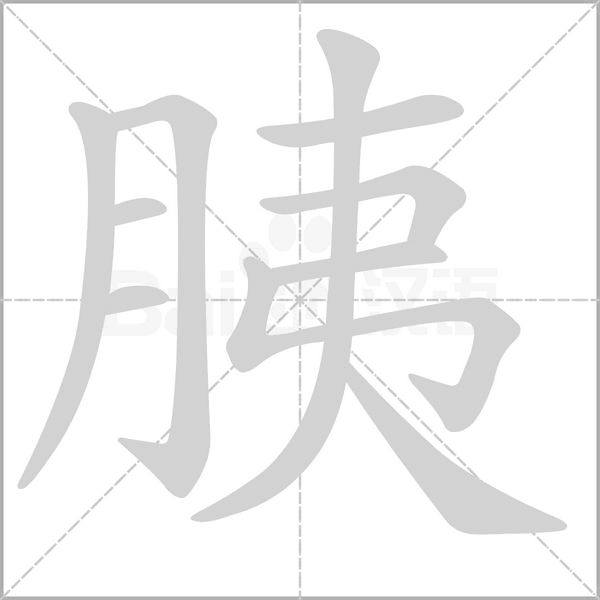 胰字笔顺图