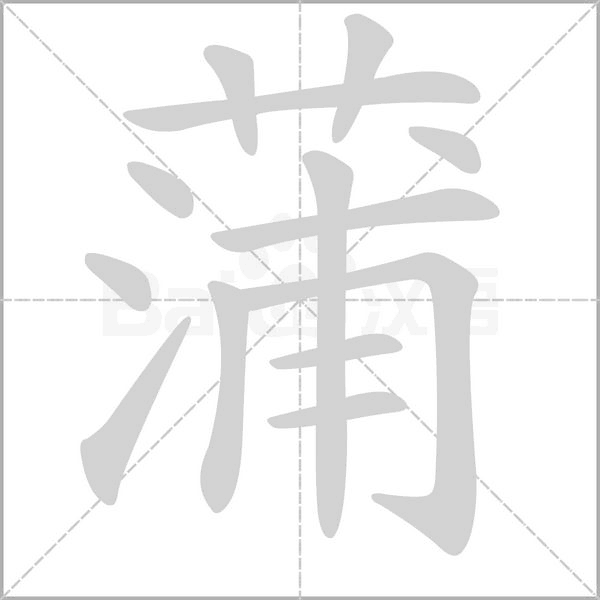 蒲字笔顺图