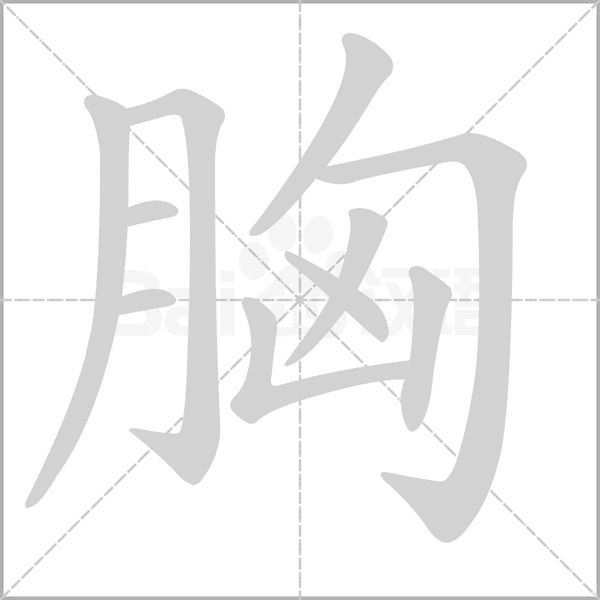 胸字笔顺图