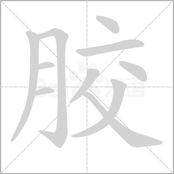 胶字笔顺图