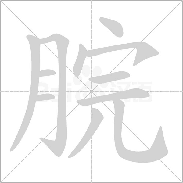 脘字笔顺图