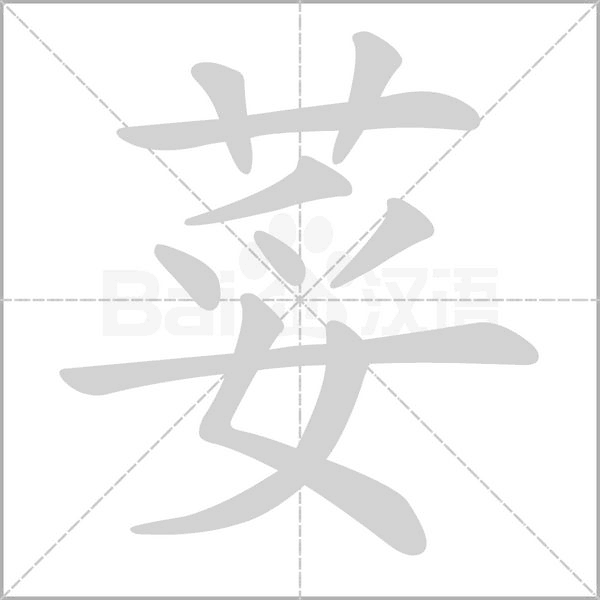 荽字笔顺图