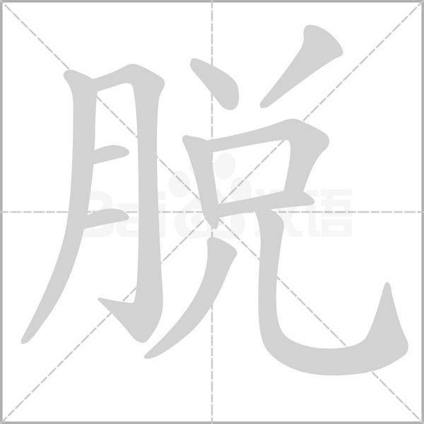 脱字笔顺图