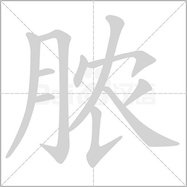 脓字笔顺图