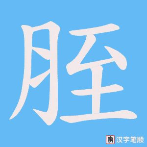 胵字笔顺图