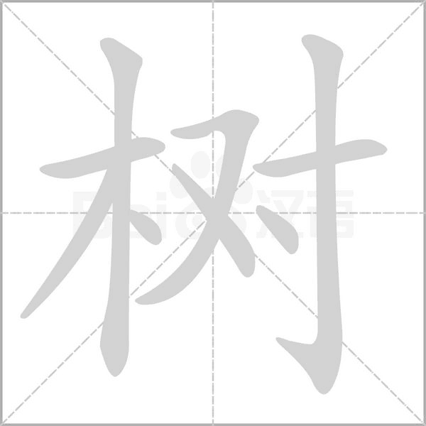 树字笔顺图