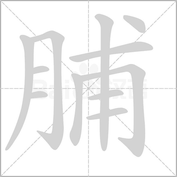 脯字笔顺图