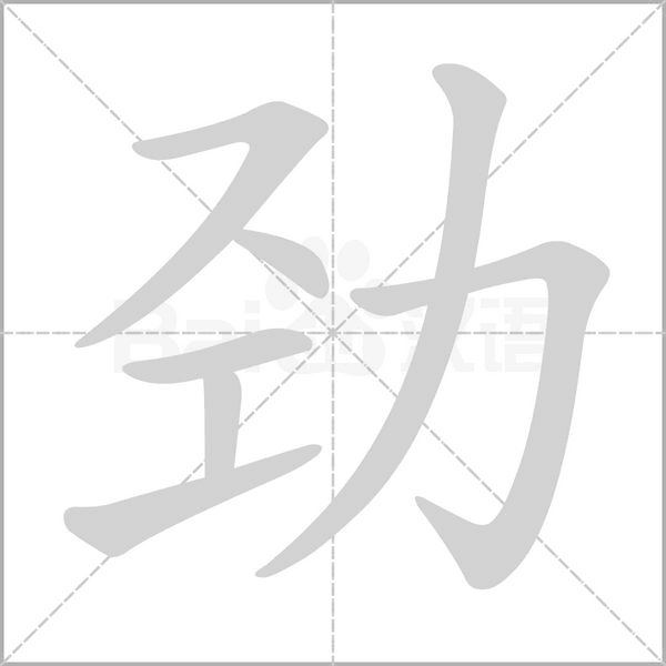 劲字笔顺图