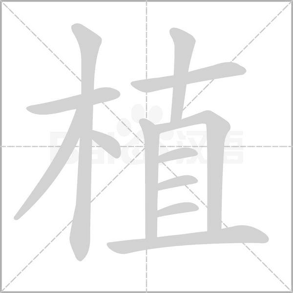 植字笔顺图