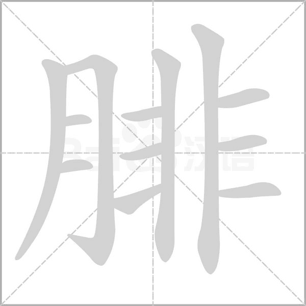 腓字笔顺图